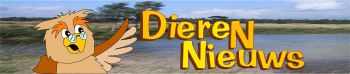 Dierennieuws