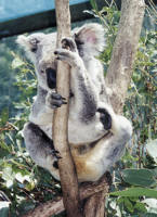 klik om te vergroten