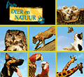 Dier en Natuur